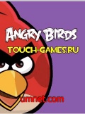 angry birds fighting mobile app for free download
